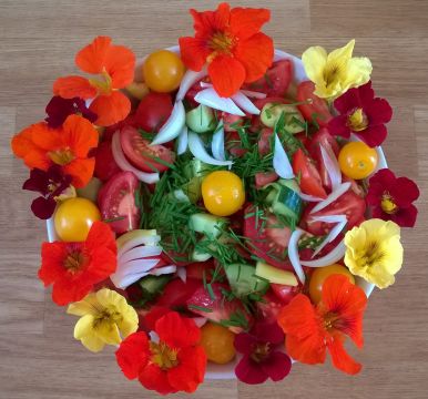 Jedlé květy a divoký plevel na talíři! :)