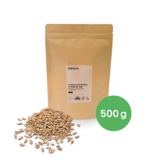 Slunečnicové semínko RAW BIO ,500g